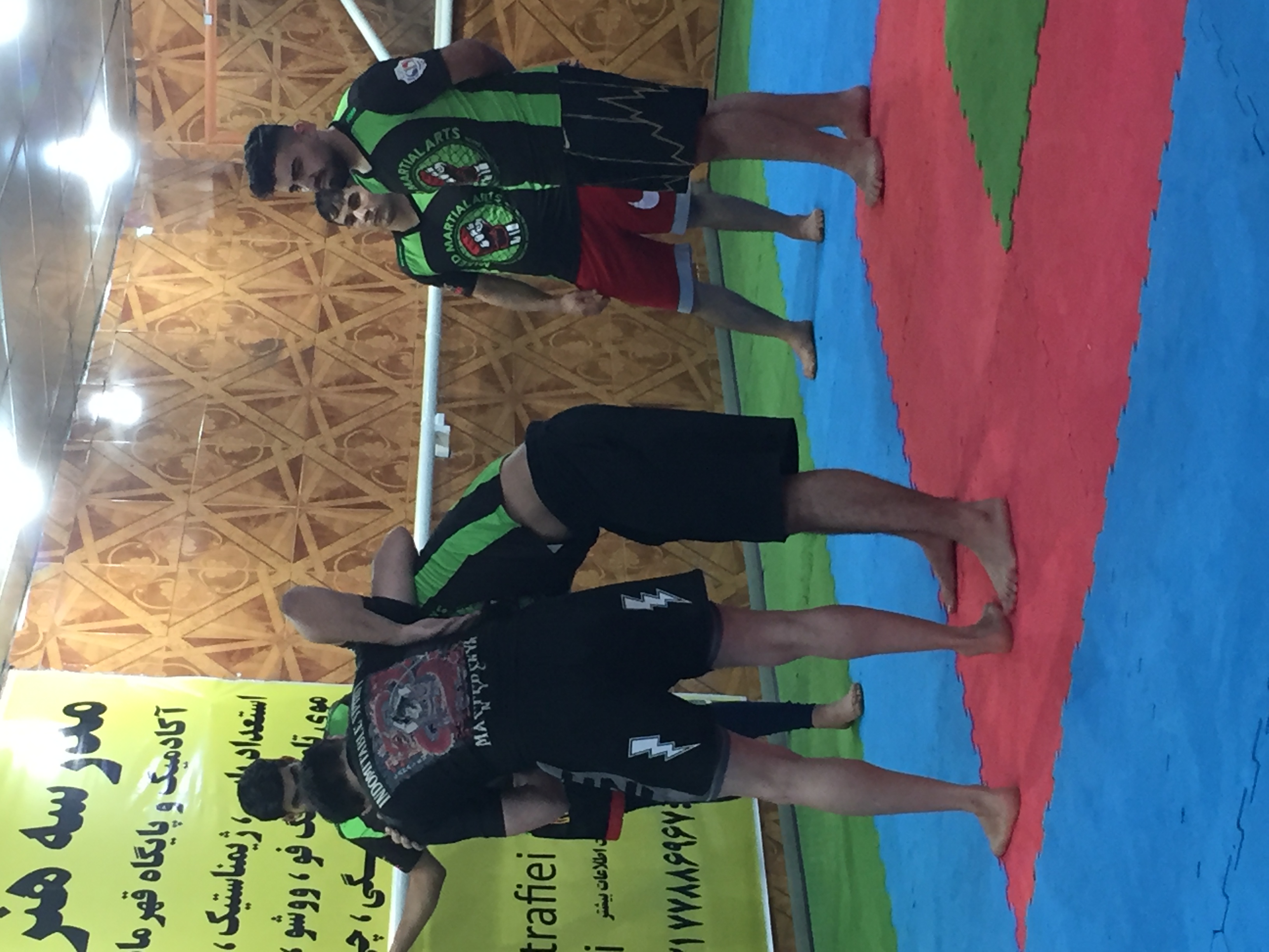 BJJ for MMA - 2
