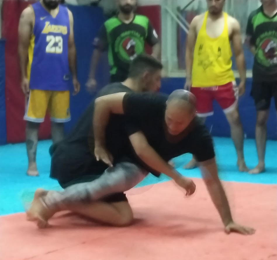 BJJ for MMA