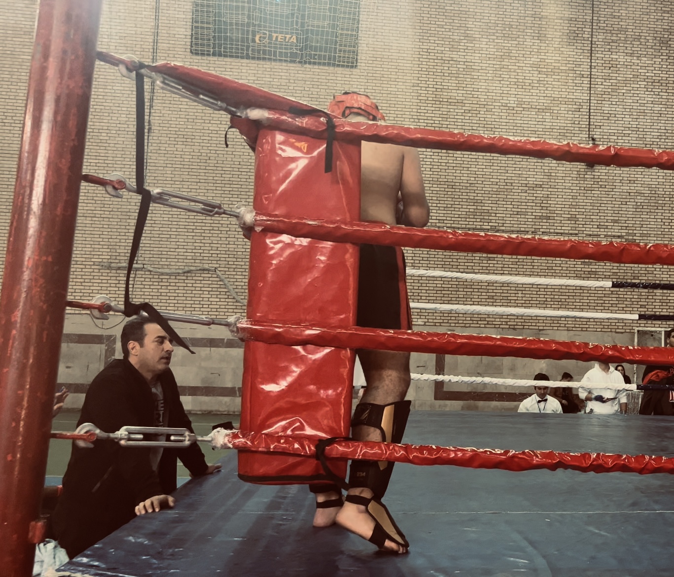 afray mma camp