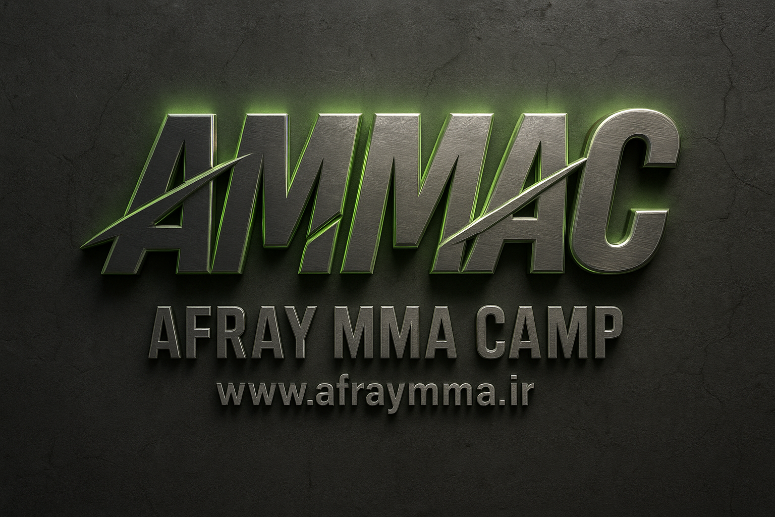 بزودی آکادمی تخصصی MMA افرای افتتاح میگردد